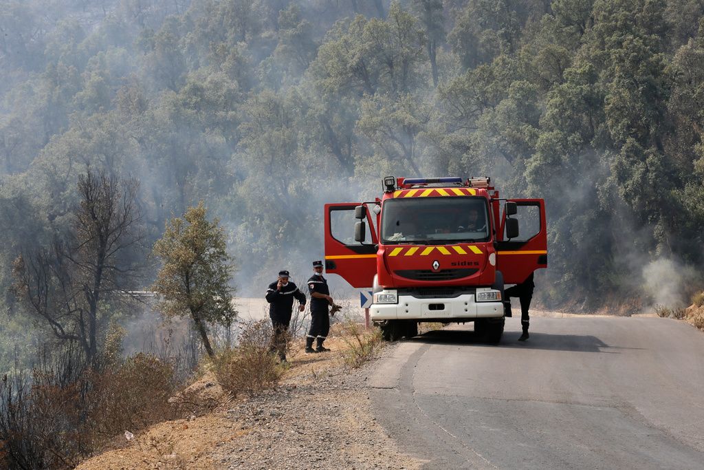 Brandmän bekämpar en skogsbrand i norra Algeriet. Arkivbild.