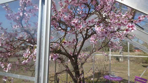 sasdf 123123123 abc 123